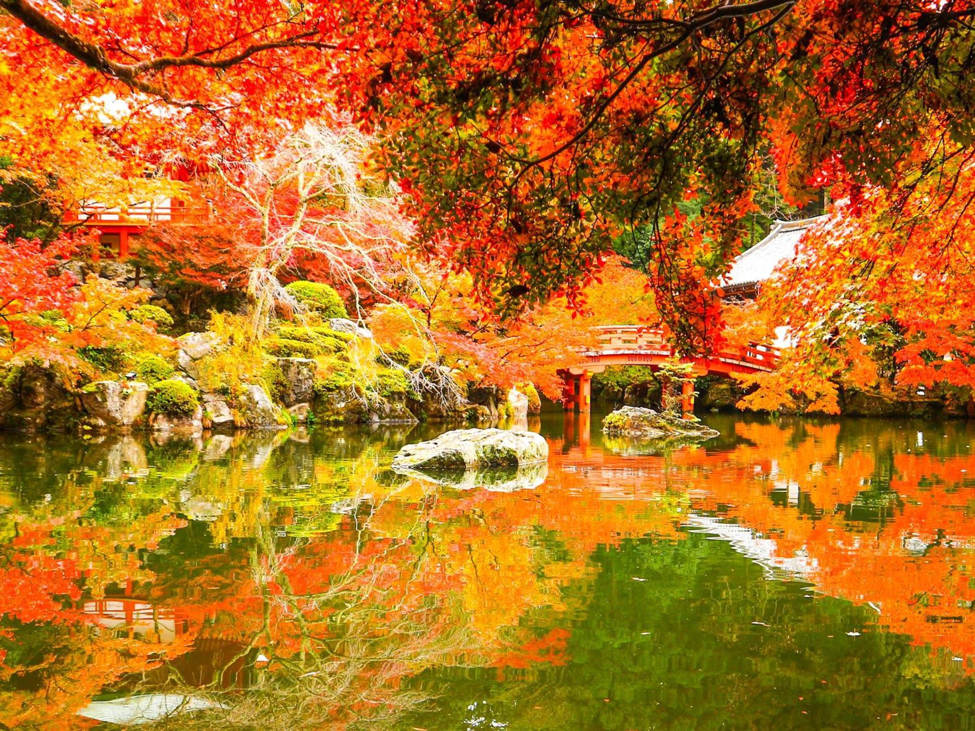 فندق The Machiya Ebisuya كيوتو المظهر الخارجي الصورة